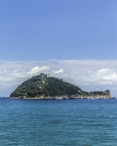 Gallinara Island is located in Ligurian Sea, Italy.